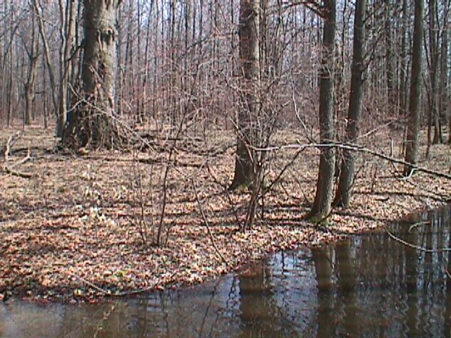 Field photo showing stream conditions at site ABPG-108-R-2000-10 -09